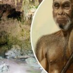 De Verdwenen Hobbits: Waarom Ze Na 50.000 Jaar Wegvlogen