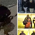 Een omvangrijke arthefst in Bristol: honderden artefacten gestolen net voor de Louvre- diefstal