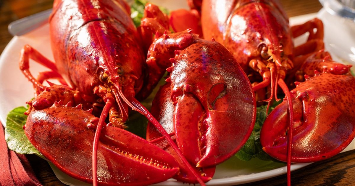 Recente diefstallen in New England: van kreeften tot oesters