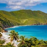 Wat u niet wist over haaienaanvallen in de Caraïben en de recente gebeurtenis in de Amerikaanse Maagdeneilanden